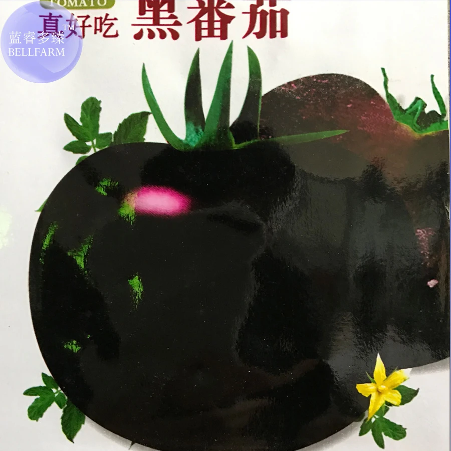 Rare Heirloom Big Black Tomato 