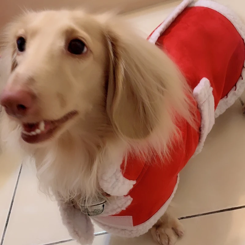 OnnPnnQ Dog Winter Warm Clothes Thickening Double Suede Shearling Pet Coat Small Large Dogs For Golden Retriever Big Dog Jackets 
OnnPnnQ Dog Winter Warm Clothes Thickening Double Suede Shearling Pet Coat Small Large Dogs For Golden Retriever Big Dog Jackets