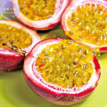 Heirloom Purple Passion Fruits, Professional Pack, 40 Seeds, passiflora edulis sour sweet egg fruit nutritious Granadilla E4246