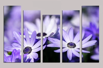 Top fashion 5pcs Oil Painting On Canvas about "Beautiful daisy" home Decor Modern living room decoration wall stickers RM5-077
Top fashion 5pcs Oil Painting On Canvas about "Beautiful daisy" home Decor Modern living room decoration wall stickers RM5-077