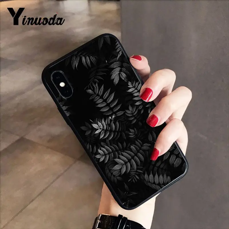 Black white palm leaves palm trees