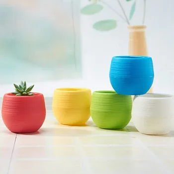 3pcs Mini Multicolor cylindrical Plastic Flower Pot, Home Office desk decoration succulents fertile basin Garden Tools supplies
3pcs Mini Multicolor cylindrical Plastic Flower Pot, Home Office desk decoration succulents fertile basin Garden Tools supplies