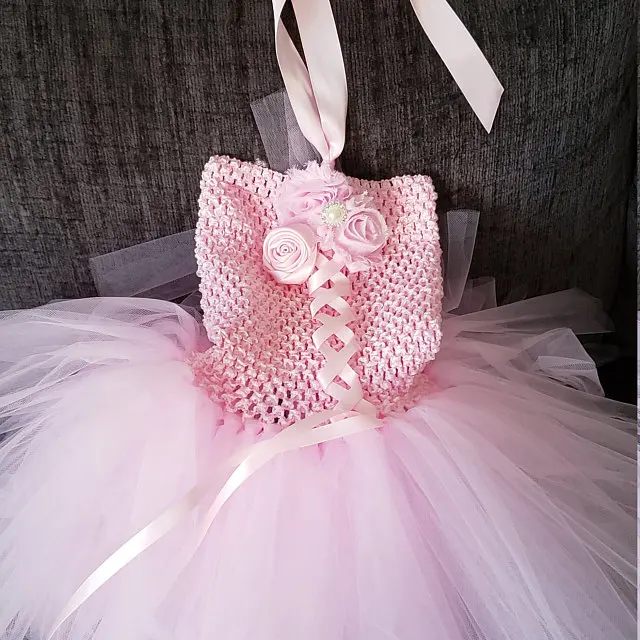 Girl Light Pink Fluffy Ballet Tutu Dress Baby Birthday Party Floral Princess Flower Girl Wedding Gown kids Ribbon Tulle Dress
Girl Light Pink Fluffy Ballet Tutu Dress Baby Birthday Party Floral Princess Flower Girl Wedding Gown kids Ribbon Tulle Dress