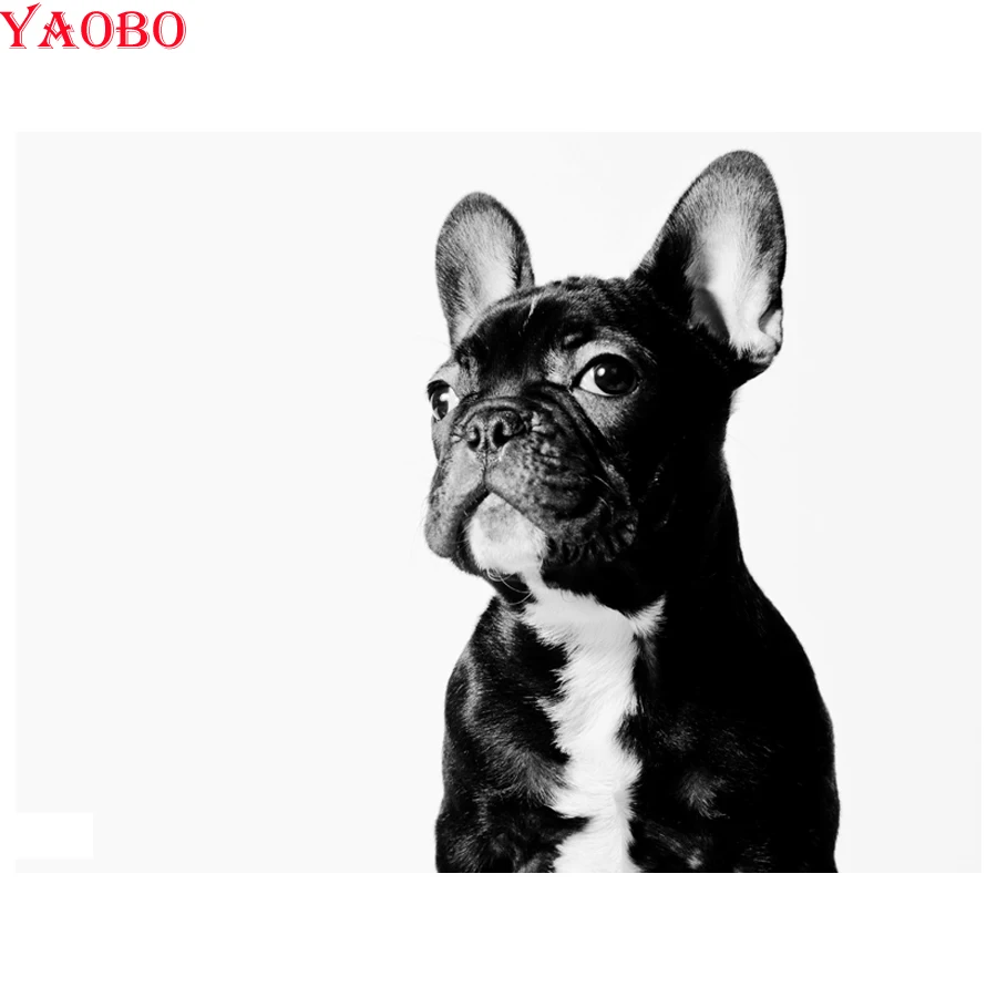 5d Diamond Embroidery French bulldog 3d Diamond painting Cross Stitch cute pet Mosaic Painting Rhinestones Home Accessories art
5d Diamond Embroidery French bulldog 3d Diamond painting Cross Stitch cute pet Mosaic Painting Rhinestones Home Accessories art