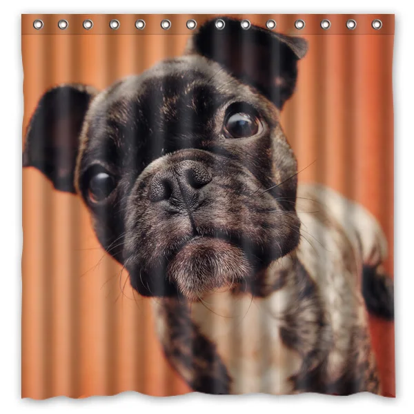 French Bulldog Printed Polyester Shower Curtain Waterproof Home Bathroom Curtains With 12 Hooks 180x180CM
French Bulldog Printed Polyester Shower Curtain Waterproof Home Bathroom Curtains With 12 Hooks 180x180CM