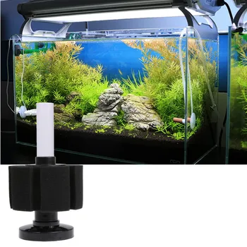 Bio Sponge Filter Breeding Fry Betta Shrimp Nano Fish tank Aquarium As breeding Filter Or As secondary Filter
Bio Sponge Filter Breeding Fry Betta Shrimp Nano Fish tank Aquarium As breeding Filter Or As secondary Filter