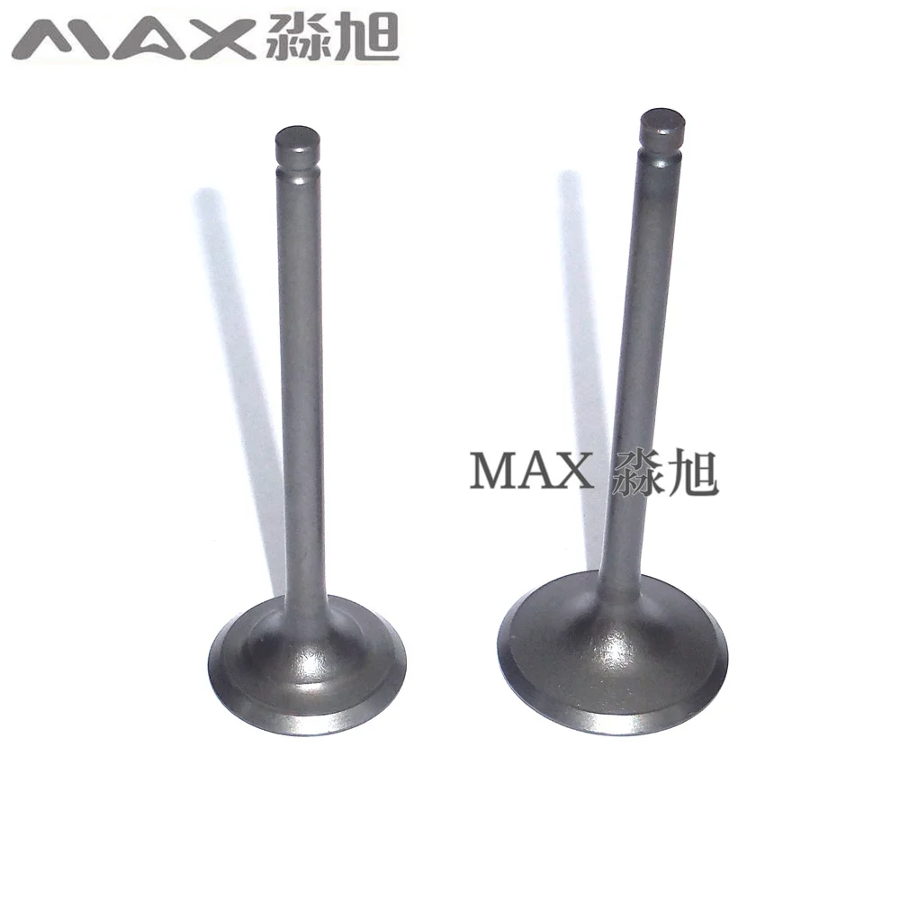 MAX motorcycle engine parts intake and exhaus for SUZUKI QS200 GS200 DR200 GXT200 QM200GY intake and exhaust valves
MAX motorcycle engine parts intake and exhaus for SUZUKI QS200 GS200 DR200 GXT200 QM200GY intake and exhaust valves