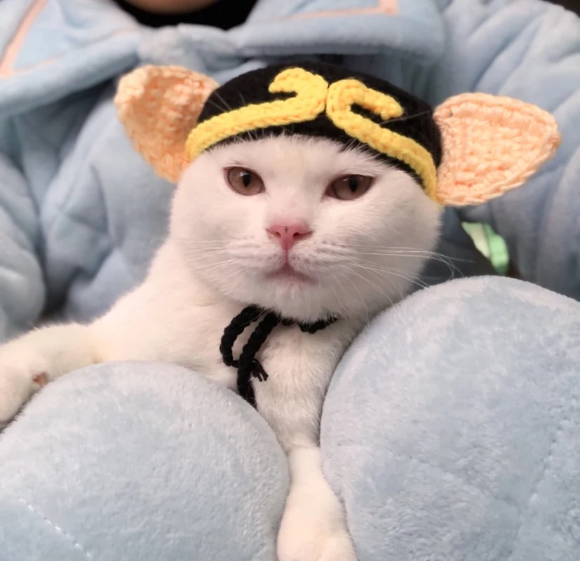 Новинка 2019, шляпа для домашних кошек, британская короткая кукла Gaffa, синяя белая шляпа для котенка, свинка, восемь колец, смешная шерстяная шляпа для Хэллоуина с щенком
Новинка 2019, шляпа для домашних кошек, британская короткая кукла Gaffa, синяя белая шляпа для котенка, свинка, восемь колец, смешная шерстяная шляпа для Хэллоуина с щенком