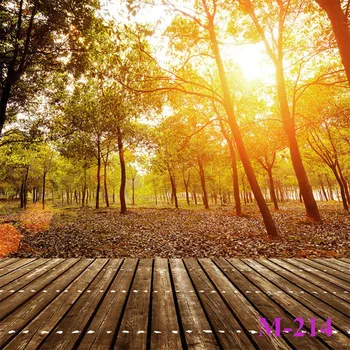 Wood Floor Forest Sunshine Polyester Seamless Photo Background Photography Backdrops Studio Prop Photographic Washable No Crease
Wood Floor Forest Sunshine Polyester Seamless Photo Background Photography Backdrops Studio Prop Photographic Washable No Crease