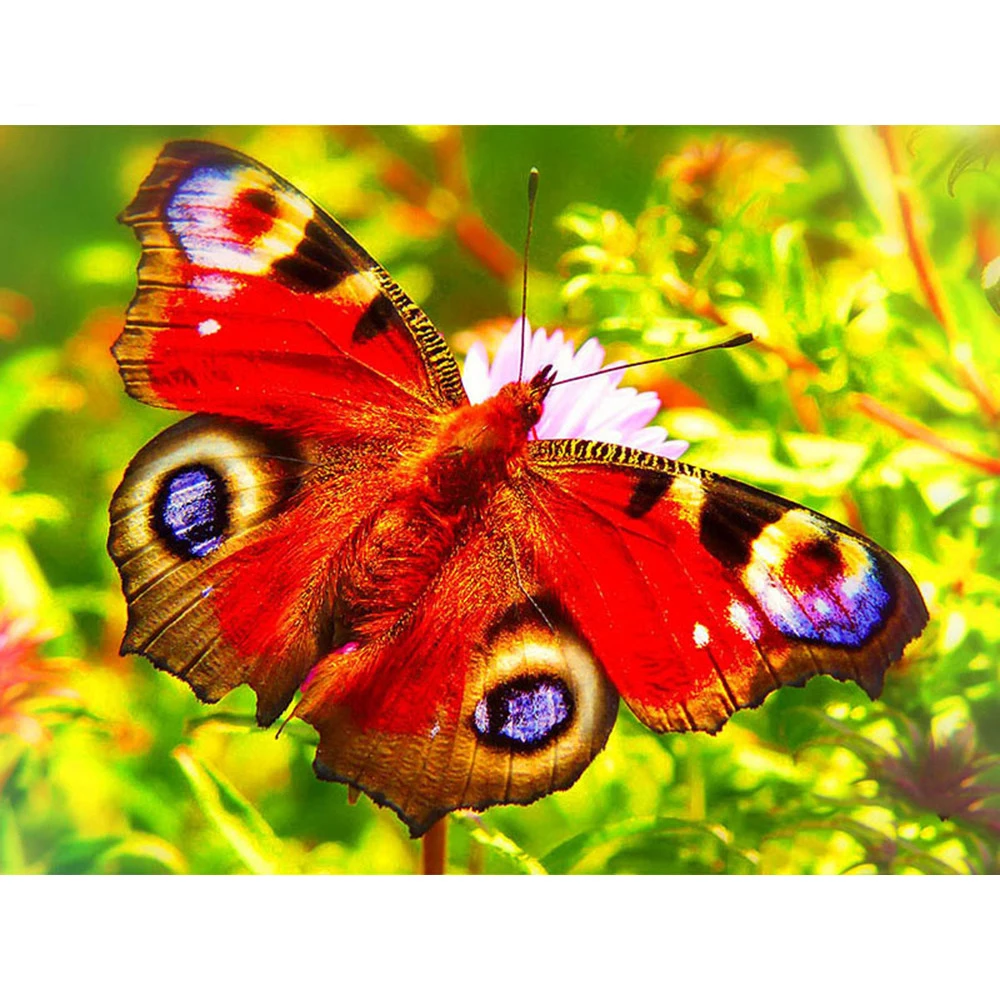 Paint With Diamonds Butterfly Animal Diamond Embroidery Cross Stitch 5d Diamond Painting Full Square/Round Diamond Mosaic
Paint With Diamonds Butterfly Animal Diamond Embroidery Cross Stitch 5d Diamond Painting Full Square/Round Diamond Mosaic