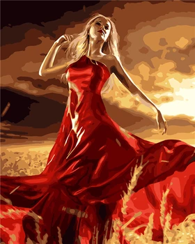 Frameless painting by numbers paintquadros de parede para sala for living room modern abstract oil painting The girl in red Q163
Frameless painting by numbers paintquadros de parede para sala for living room modern abstract oil painting The girl in red Q163