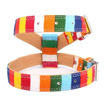 Harness for Dog Soft Canvas Retractable Leash Colorful Personalized Pet Outdoor Walking Strap for Small Large Dog Puppy 56C080 
Harness for Dog Soft Canvas Retractable Leash Colorful Personalized Pet Outdoor Walking Strap for Small Large Dog Puppy 56C080