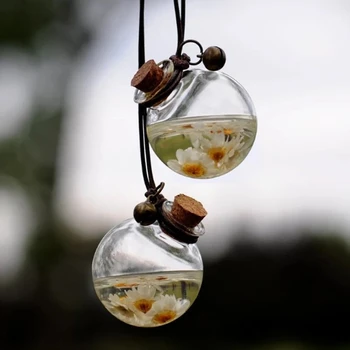 Perfume Bottle for Car Home Empty Glass Bottle Whosale Car Pendant Hanging Cheap Free Shipping
Perfume Bottle for Car Home Empty Glass Bottle Whosale Car Pendant Hanging Cheap Free Shipping