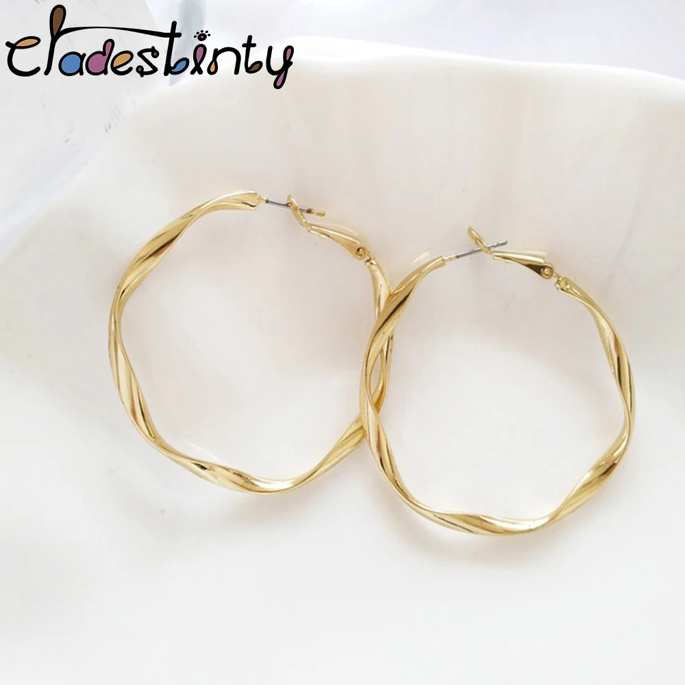 Chadestinty Twisted Round Earrings For Women Big Gold Silver Color Circle Hoop Earrings Punk Jewellery Female Loop Earings
Chadestinty Twisted Round Earrings For Women Big Gold Silver Color Circle Hoop Earrings Punk Jewellery Female Loop Earings