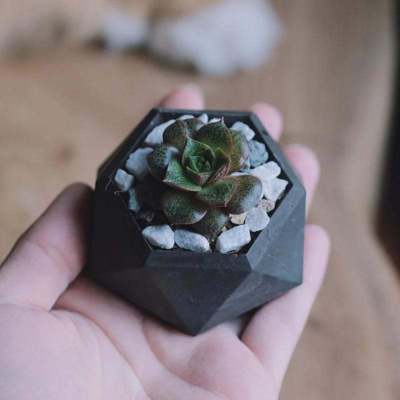 Succulent plants Cement flowerpot Silicone mold Gypsum Candle cup Silicone mold Concrete pot mold
Succulent plants Cement flowerpot Silicone mold Gypsum Candle cup Silicone mold Concrete pot mold