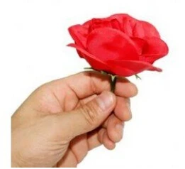 5pcs Match to Rose Flower Appearing Magic Tricks Stage Street Illusions Gimmick Props Loving Magie Comedy
5pcs Match to Rose Flower Appearing Magic Tricks Stage Street Illusions Gimmick Props Loving Magie Comedy