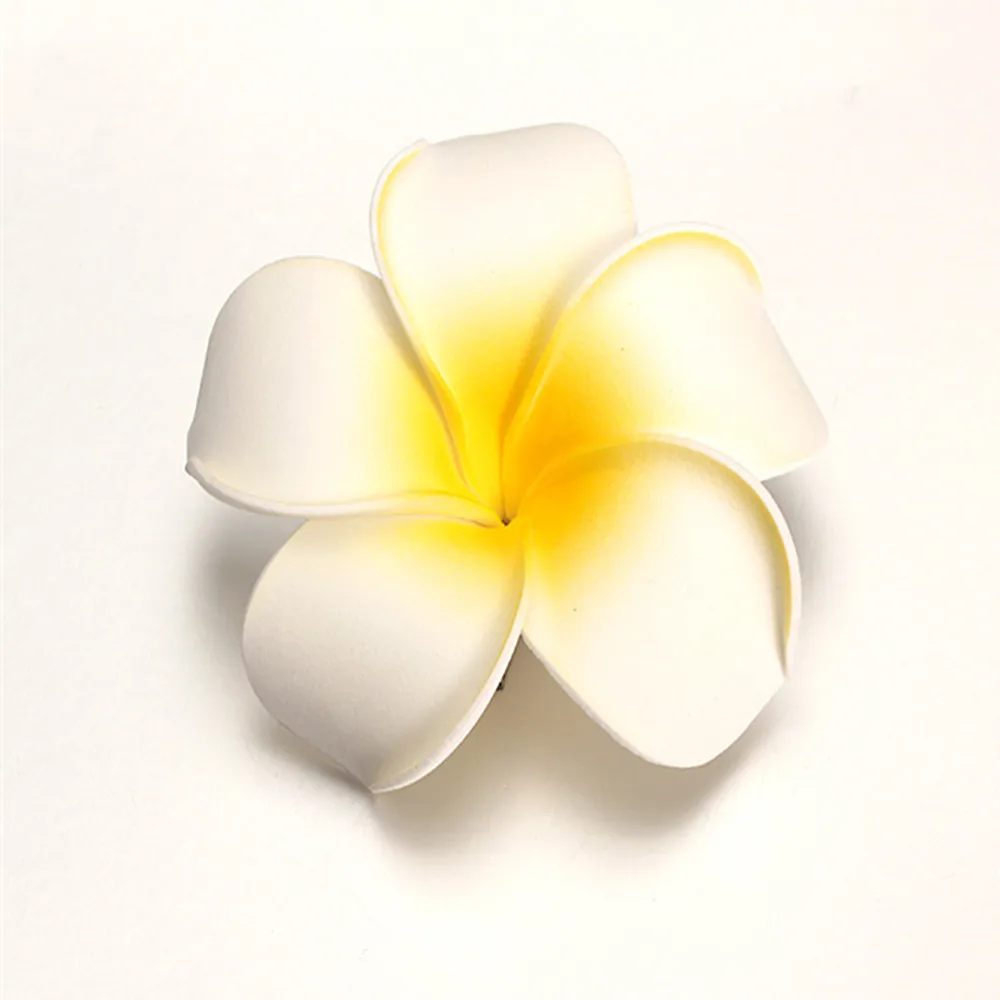 hair clip (7).jpg
