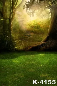 LIFE MAGIC BOX Backdrops Photography Backdrop Fabric Backdrops 220Cm * 150Cm Green Grass Forest Landscape
LIFE MAGIC BOX Backdrops Photography Backdrop Fabric Backdrops 220Cm * 150Cm Green Grass Forest Landscape