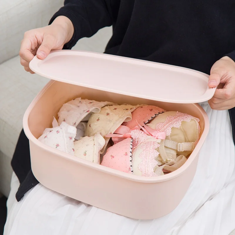 Bra Socks Storage Box Wardrobe Closet Organizer Drawer Box for Ties Scarf Clothes Home Storage Organization
Bra Socks Storage Box Wardrobe Closet Organizer Drawer Box for Ties Scarf Clothes Home Storage Organization