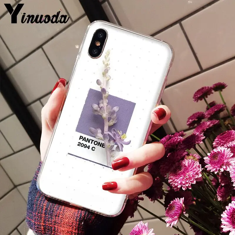 Pantone Candy Color Flower