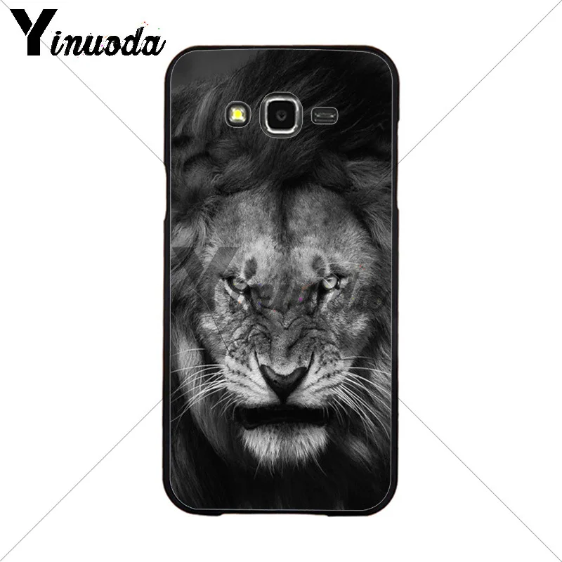Animals The lion