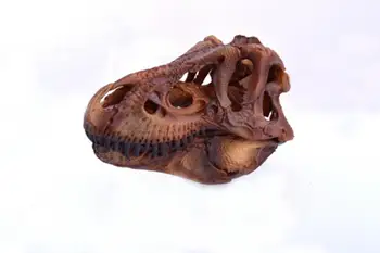 wholesale 14cm brown resin skull split tyrannosaurus head mannequin, reference skull model, artistic bust,landscaping M01012
wholesale 14cm brown resin skull split tyrannosaurus head mannequin, reference skull model, artistic bust,landscaping M01012
