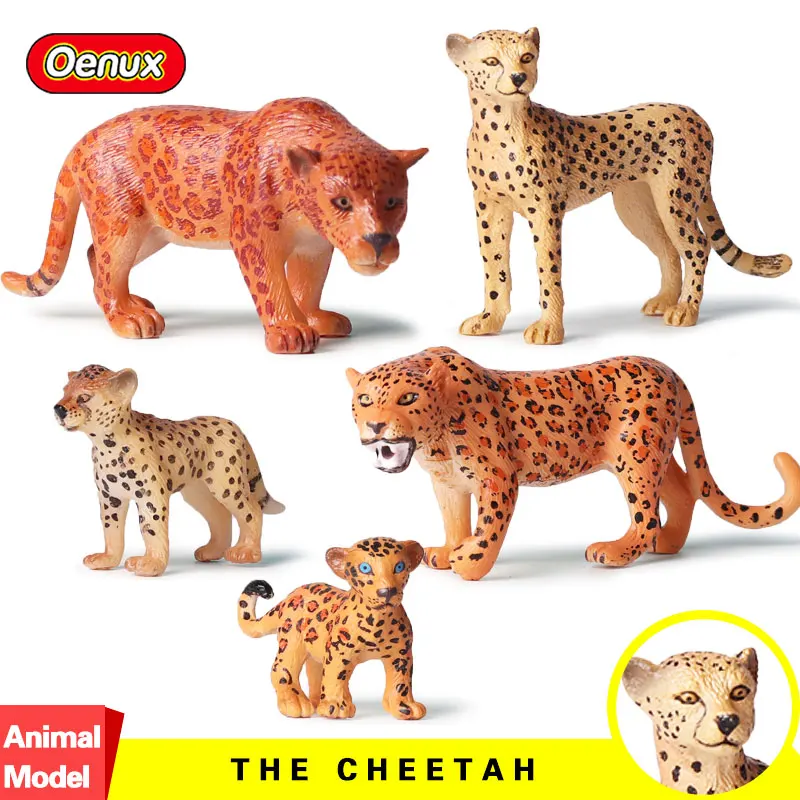 Oenux Original 5pcs/set Africa Wild Beast Animal Cheetahs Simulation Model Action Figure Wild Animals Leopards Figurines For Kid
Oenux Original 5pcs/set Africa Wild Beast Animal Cheetahs Simulation Model Action Figure Wild Animals Leopards Figurines For Kid