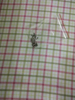 H005009 / H005009-00 Noritsu QSS2301/3501/1912/3201/3202/3101/3301 minilab part
H005009 / H005009-00 Noritsu QSS2301/3501/1912/3201/3202/3101/3301 minilab part