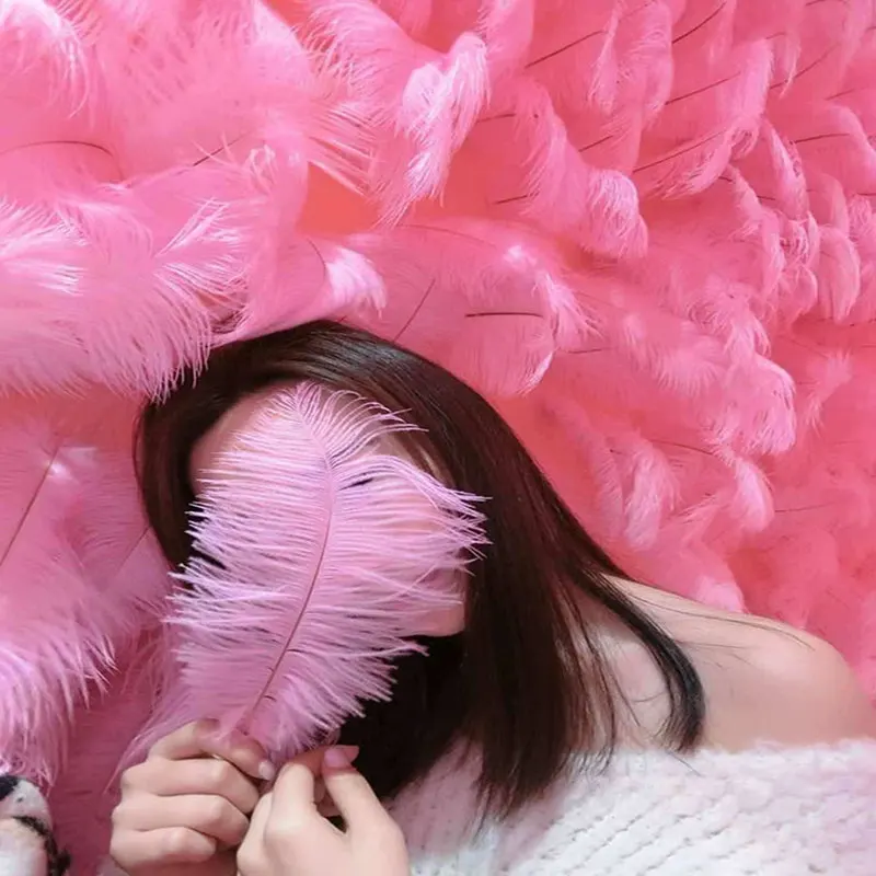 zhemao10 Pcs/Lot Natural Pink Ostrich Feathers For Crafts 15-75CM Carnival Costumes Party Home Wedding Decorations Plumes
zhemao10 Pcs/Lot Natural Pink Ostrich Feathers For Crafts 15-75CM Carnival Costumes Party Home Wedding Decorations Plumes