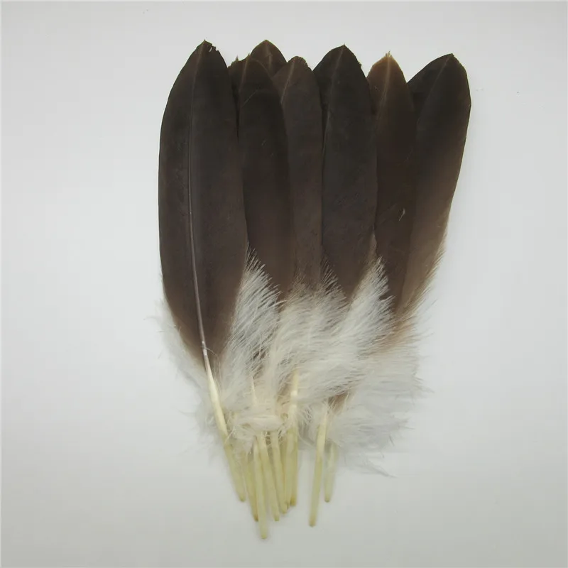 Wholesale 100 pcs Real Natural eagle feathers 30-35cm Top Quality pheasant feather For Wedding decoration diy jewelry Plume 
Wholesale 100 pcs Real Natural eagle feathers 30-35cm Top Quality pheasant feather For Wedding decoration diy jewelry Plume