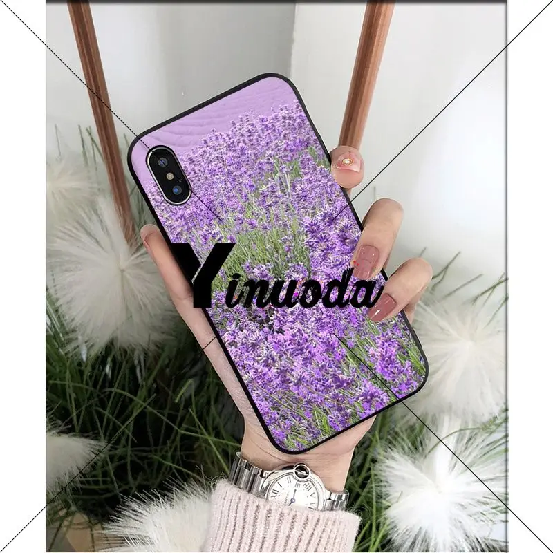 Simple lavender Purple flowers