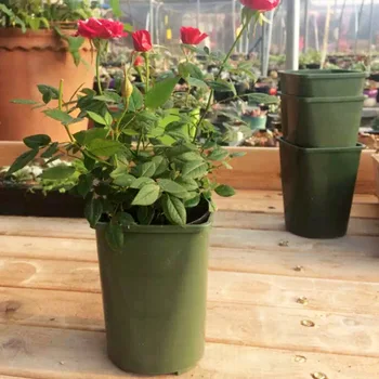 10 Pcs Plant Flower Pots Plastic Nursery Seeds Storage Pots Container Garden Decor 9*9*13cm
10 Pcs Plant Flower Pots Plastic Nursery Seeds Storage Pots Container Garden Decor 9*9*13cm