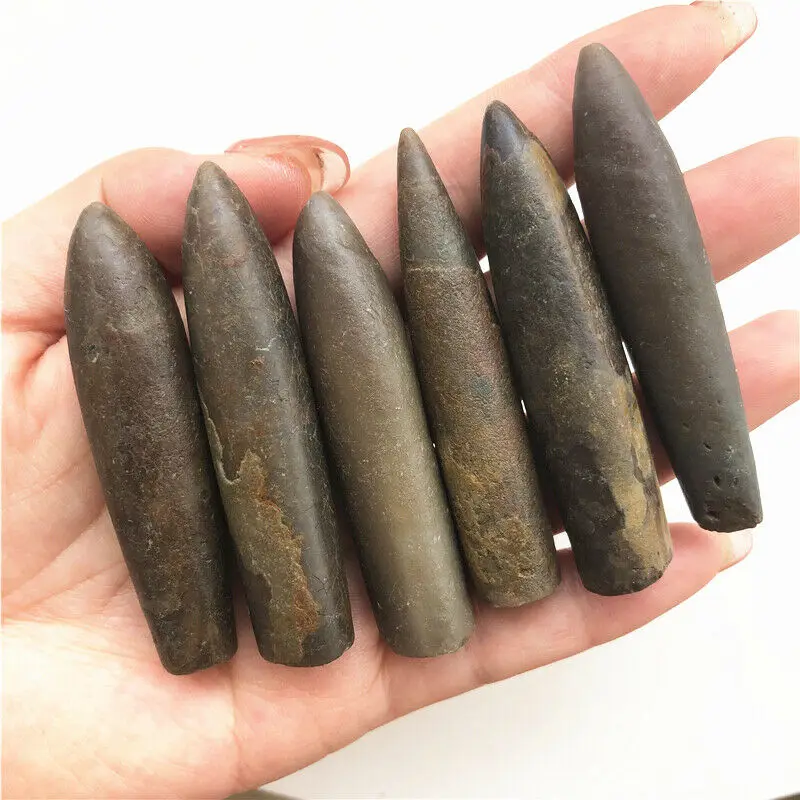 1PC Natural Rare The Arrow Fish Fossil Specimens Original Stone Mineral Healing Natural Stones and Minerals
1PC Natural Rare The Arrow Fish Fossil Specimens Original Stone Mineral Healing Natural Stones and Minerals