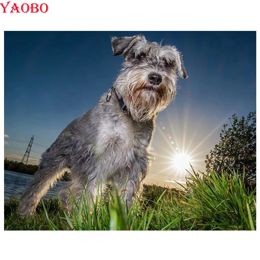 NEW 5d diy Diamond embroidery Animal,Pet dog,schnauzer dog diamond painting Cross Stitch full square Rhinestone mosaic decor
NEW 5d diy Diamond embroidery Animal,Pet dog,schnauzer dog diamond painting Cross Stitch full square Rhinestone mosaic decor