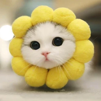 10pcs Young cat takes pictures of cute cat yellow circle pet sunflower cat headgear S/M/L Wholesale Bale
10pcs Young cat takes pictures of cute cat yellow circle pet sunflower cat headgear S/M/L Wholesale Bale