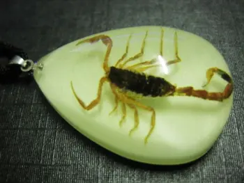 FREE SHIPPING Holiday sales 20 Glow in the dark Resin Real Rar Scorpion king pendant
FREE SHIPPING Holiday sales 20 Glow in the dark Resin Real Rar Scorpion king pendant