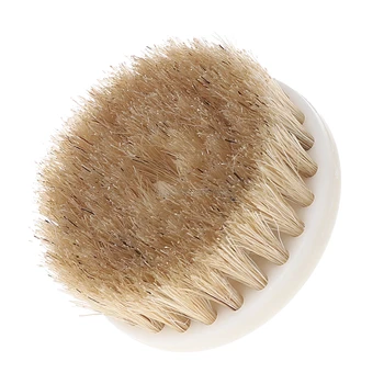 60mm Brown Drill Powered Scrub Heavy Duty Cleaning Brush With Stiff Bristles Tools Whosale&Dropship
60mm Brown Drill Powered Scrub Heavy Duty Cleaning Brush With Stiff Bristles Tools Whosale&Dropship