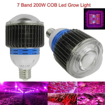 7 Band 200W 600W E27 E40 LED Full spectrum COB LED Grow Light For Hydroponics cultivation flower ,quiet fans and good cooling
7 Band 200W 600W E27 E40 LED Full spectrum COB LED Grow Light For Hydroponics cultivation flower ,quiet fans and good cooling