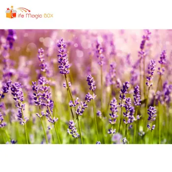 LIFE MAGIC BOX Lavender Backdrops Treat Children Birthday Wedding Photography Backgrounds
LIFE MAGIC BOX Lavender Backdrops Treat Children Birthday Wedding Photography Backgrounds