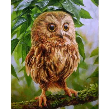 2017 New 5d Round Diamond Embroidery Owl Diamond Embroidery Round Resin Full Diamond Painting Wall Photo Gift YZ1
2017 New 5d Round Diamond Embroidery Owl Diamond Embroidery Round Resin Full Diamond Painting Wall Photo Gift YZ1