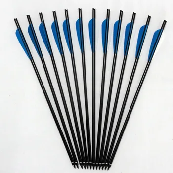12 pcs 17/20/22" Aluminum Crossbow Arrow Bolts OD 8.7mm with Changable Point Aluminum Arrow for Archery Hunting
12 pcs 17/20/22" Aluminum Crossbow Arrow Bolts OD 8.7mm with Changable Point Aluminum Arrow for Archery Hunting