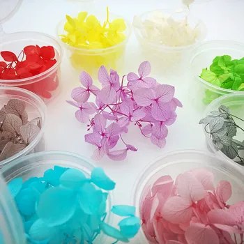 200pieces petals 10 boxes Natural small leaf Hydrangea Dried flowers glass globe filler DIY more color to choose
200pieces petals 10 boxes Natural small leaf Hydrangea Dried flowers glass globe filler DIY more color to choose