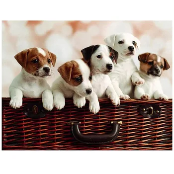 Full square Round Diamond Painting Cross Stitch jack russel puppies Diy Diamond Embroidery Mosaic rhinestones home decorZP-1754
Full square Round Diamond Painting Cross Stitch jack russel puppies Diy Diamond Embroidery Mosaic rhinestones home decorZP-1754