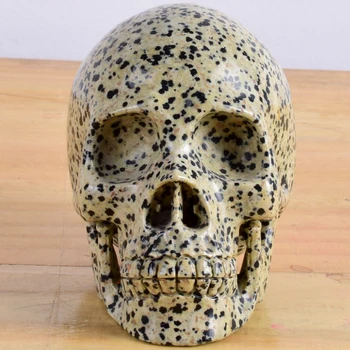 1216G Hand Carved Stone Skull Statue Natural Dalmatian Unique Skull figurine Sculpture Crystal craft Healing Reiki Home Decor
1216G Hand Carved Stone Skull Statue Natural Dalmatian Unique Skull figurine Sculpture Crystal craft Healing Reiki Home Decor