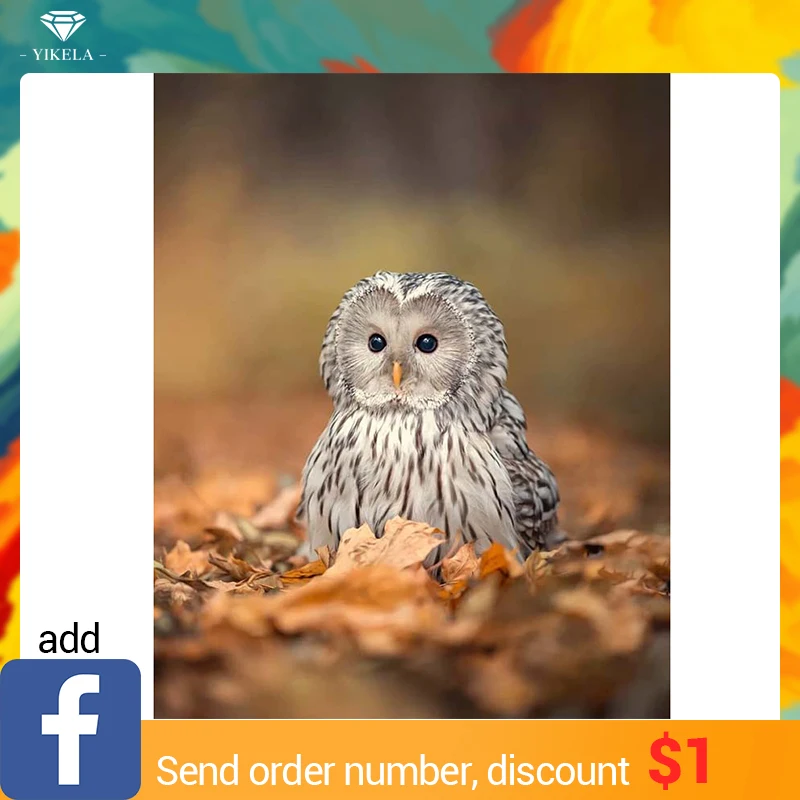 YIKELA Full Square Drill 5D DIY Diamond Painting "Animal Owl " 3D Embroidery Cross Stitch 5D Home Decor Gifst Wall Stickers
YIKELA Full Square Drill 5D DIY Diamond Painting "Animal Owl " 3D Embroidery Cross Stitch 5D Home Decor Gifst Wall Stickers