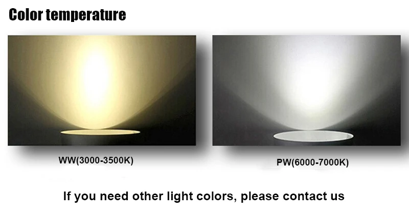 8884005173_38110013