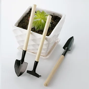 Mini Shovel Rake Garden Plant Tool Set 3pcs With Wooden Handle Gardening Tool For Planting Flowers
Mini Shovel Rake Garden Plant Tool Set 3pcs With Wooden Handle Gardening Tool For Planting Flowers