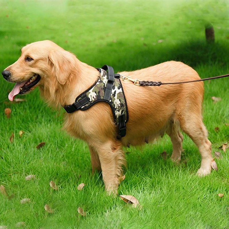 Adjustable No Pull Dog Harness Vest For Big Dog Harness Large Dog Leash Pet Supplies Vest Pet Collar Chest Strap Accessories
Adjustable No Pull Dog Harness Vest For Big Dog Harness Large Dog Leash Pet Supplies Vest Pet Collar Chest Strap Accessories