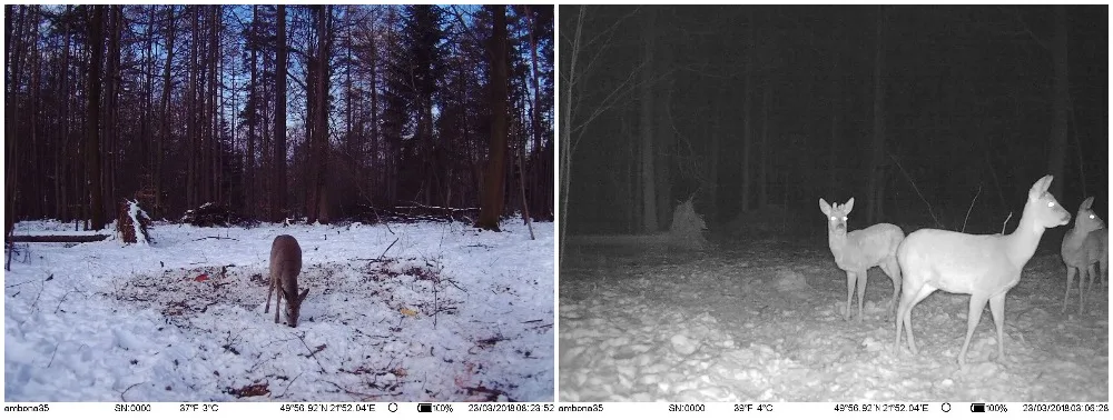 Real 12MP Hunting Trail Cameras 4G MMS GPS GPRS Digital Scout Guard Hunting Camera Trap Game Wild Photo Traps Hunting Camera 4G (33)