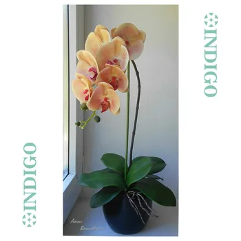 3D Printing Petal Phalaenopsis Champagne Moth Orchids (7 Flowers/Stem )Faux Flower Wedding Decoration Floral Party Shop Display
3D Printing Petal Phalaenopsis Champagne Moth Orchids (7 Flowers/Stem )Faux Flower Wedding Decoration Floral Party Shop Display